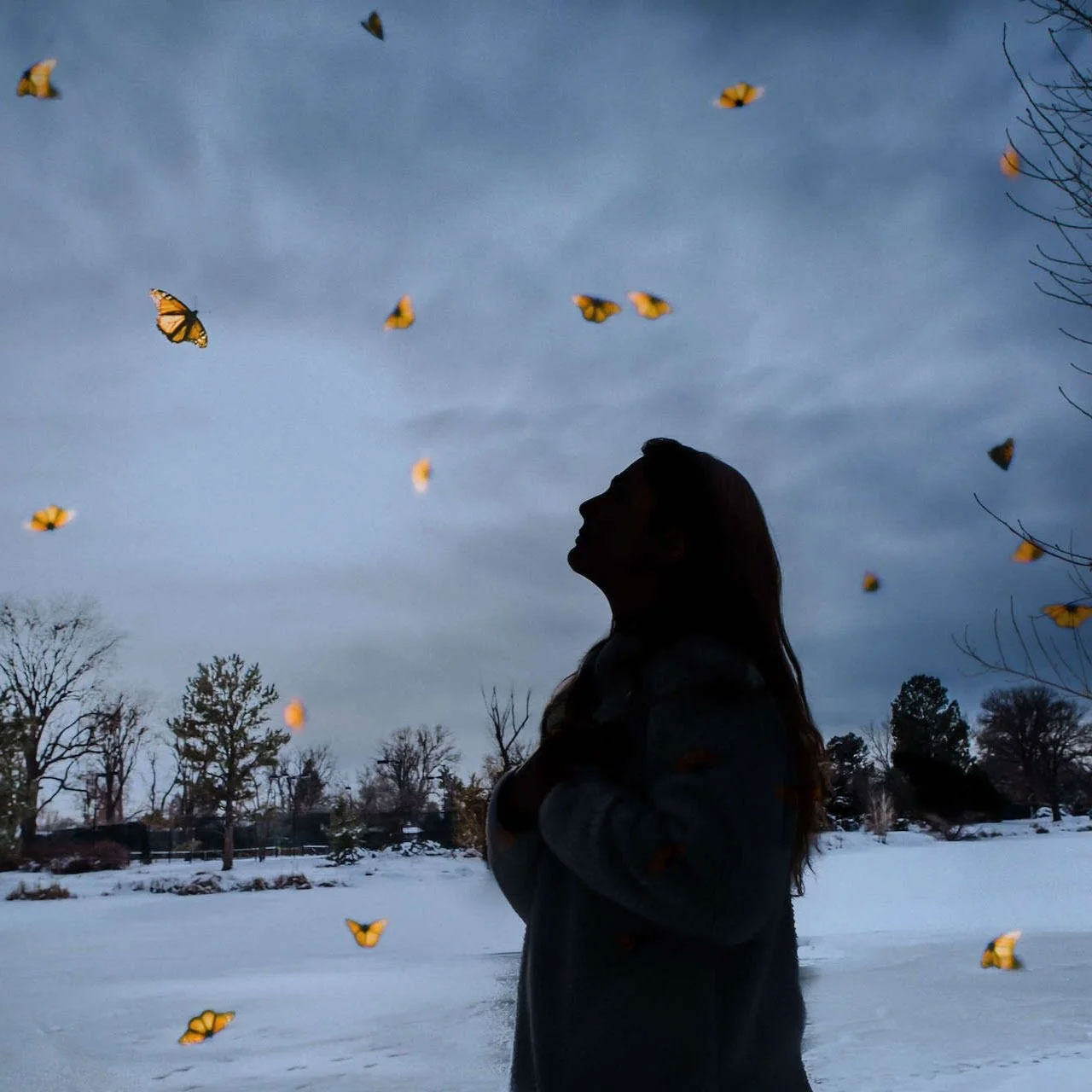 “From Broken Trees,” showing a silhouetted participant surrounded by monarch butterflies in a snowy landscape.